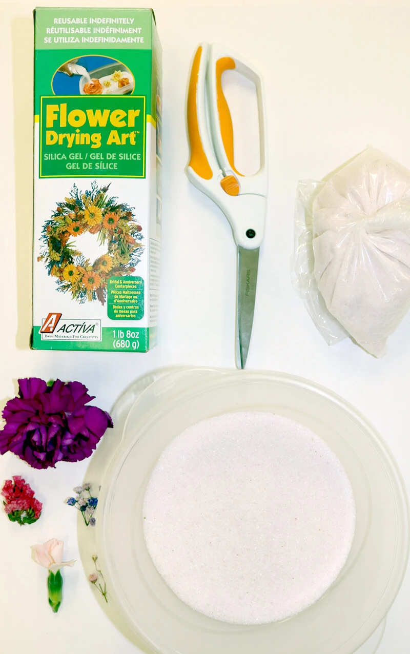The Easiest Way to Dry Flowers in a Microwave